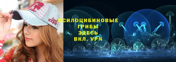 соль ск Арсеньев