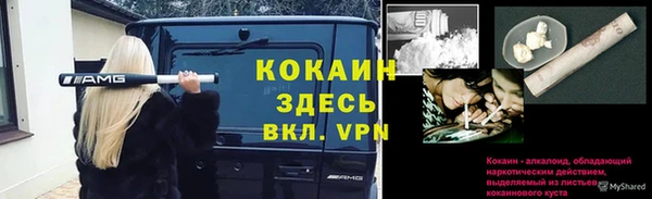 молекула духа Ладушкин