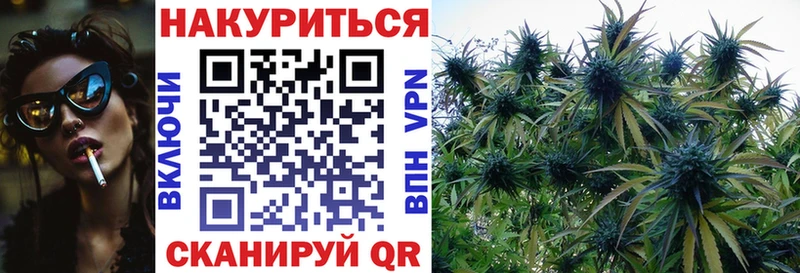 где купить наркоту  Стрежевой  Каннабис конопля 